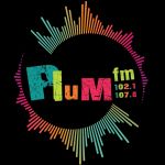 Plum FM