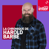 Harold Barbé : moi ce que j'en dis